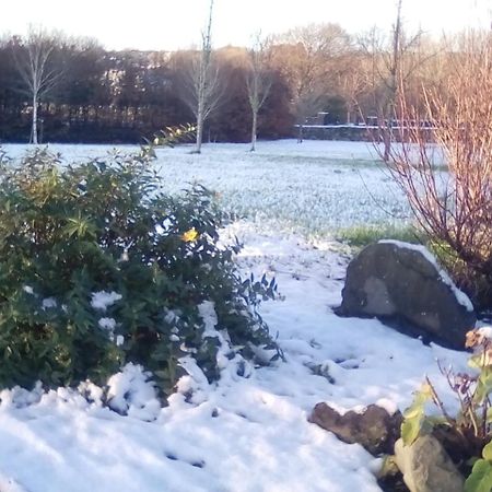 Ashford Haven B&B Cong Buitenkant foto