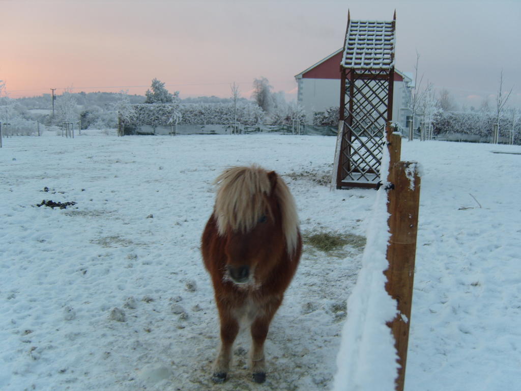 Ashford Haven B&B Cong Buitenkant foto