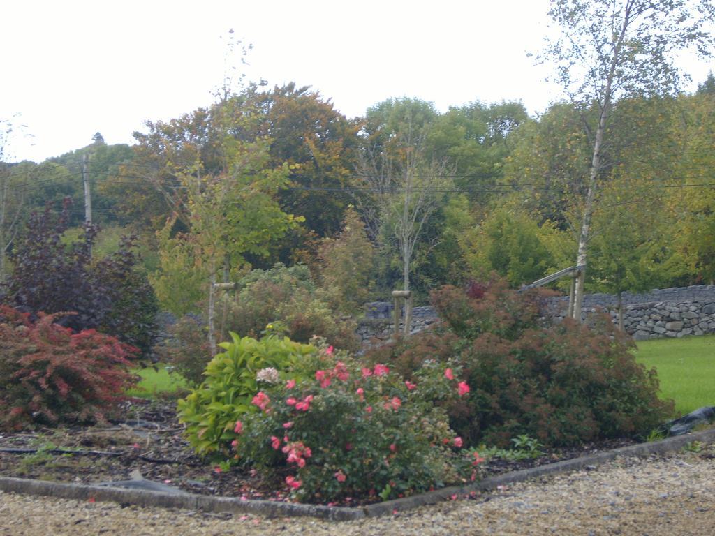 Ashford Haven B&B Cong Buitenkant foto